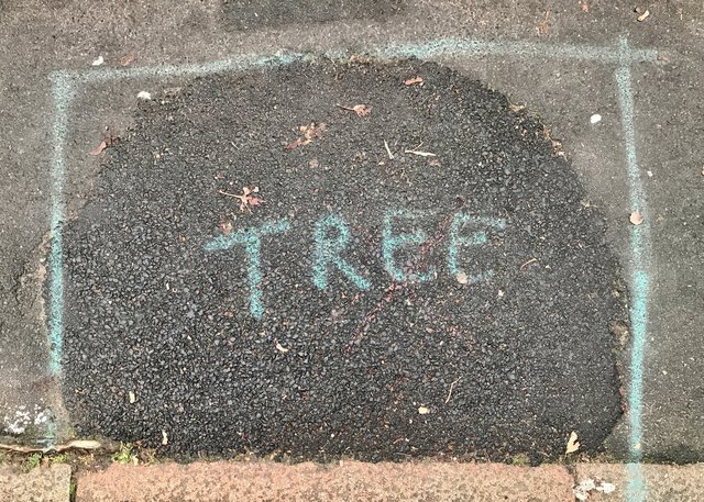 TREE, 2021.jpg