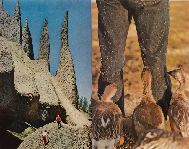 Elemental 9 2012, collage, 25x36 cm.jpg