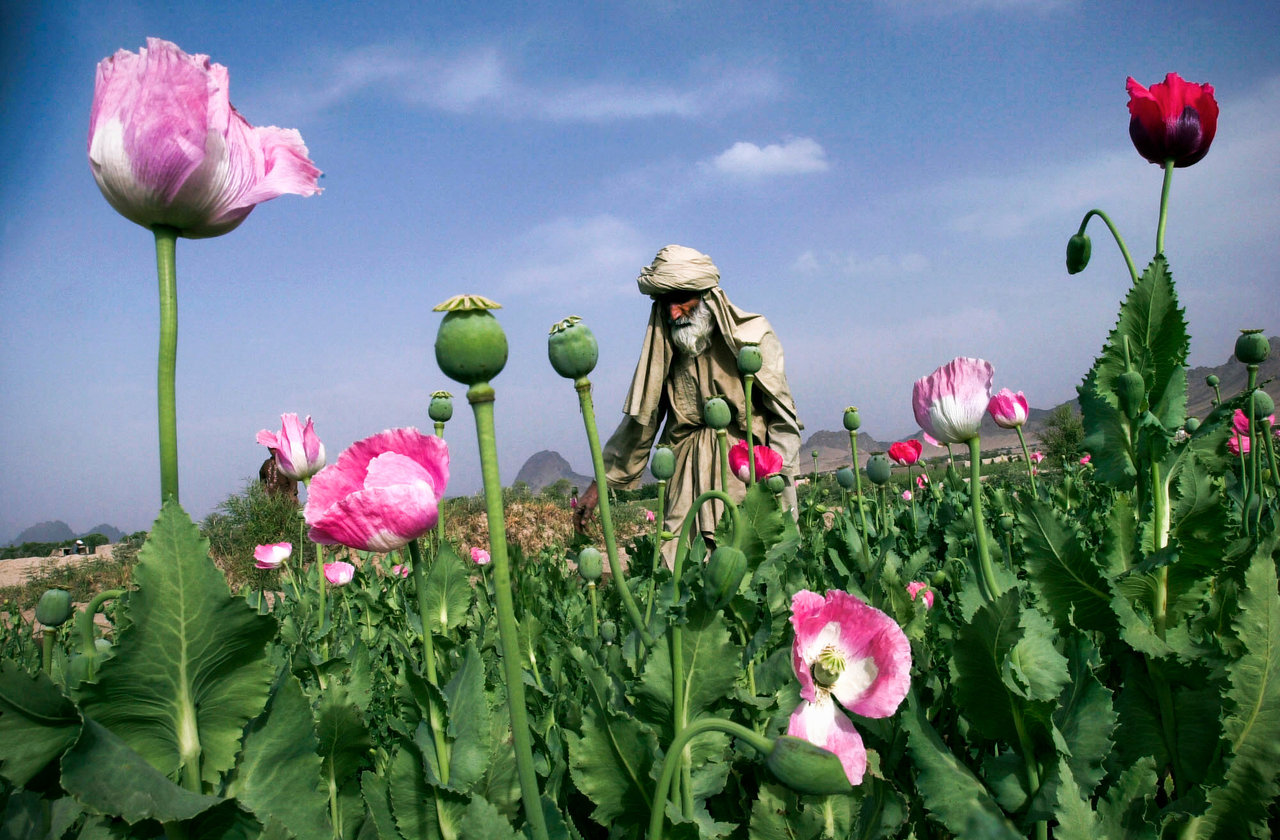 Why War Zones Are the Safest Skies You Will Ever Fly