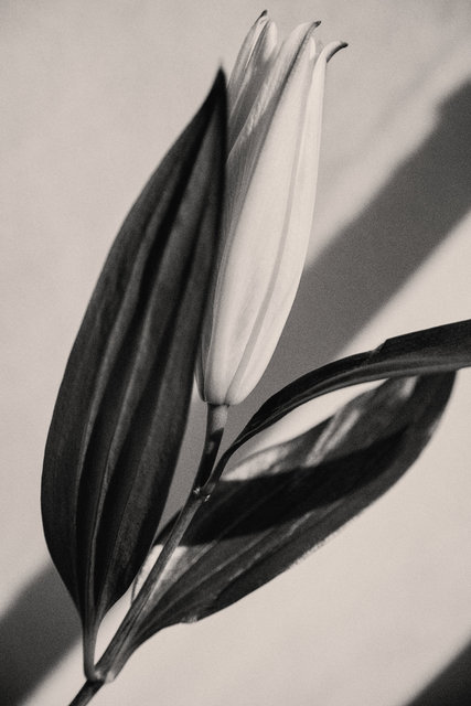 fig. 13