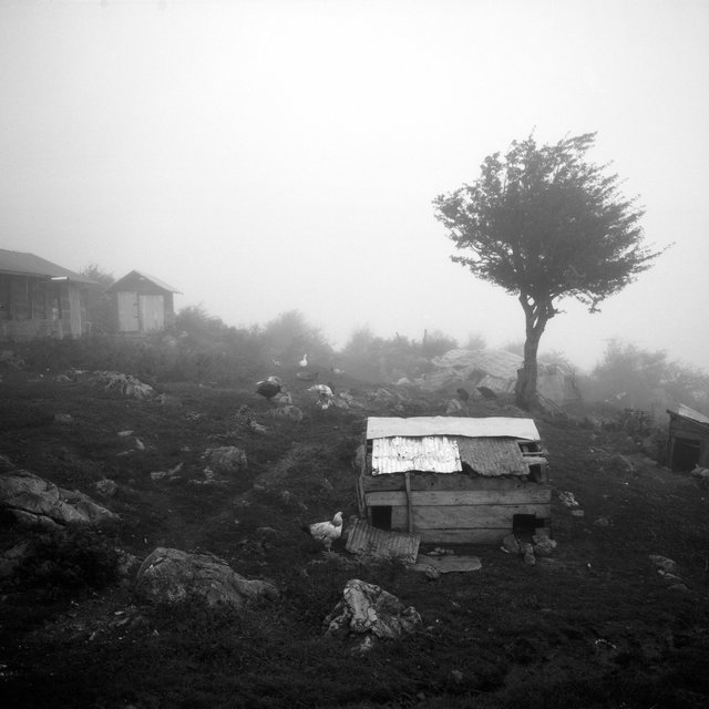 iran2013-fm120-005-4.jpg
