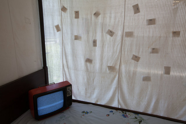 installation view(part)