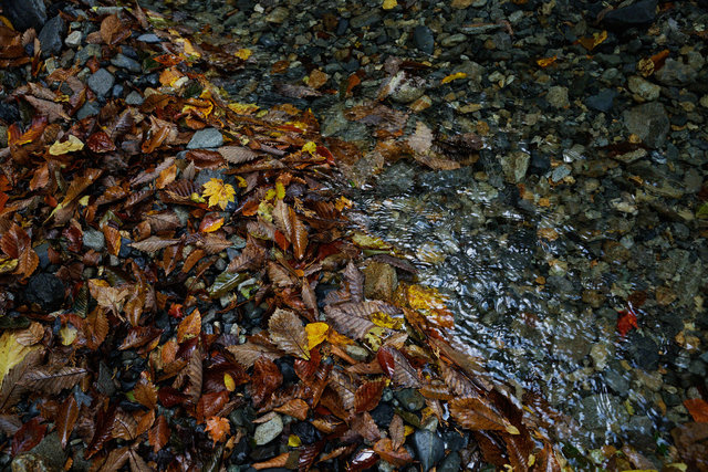 Machigasawa, October 2020