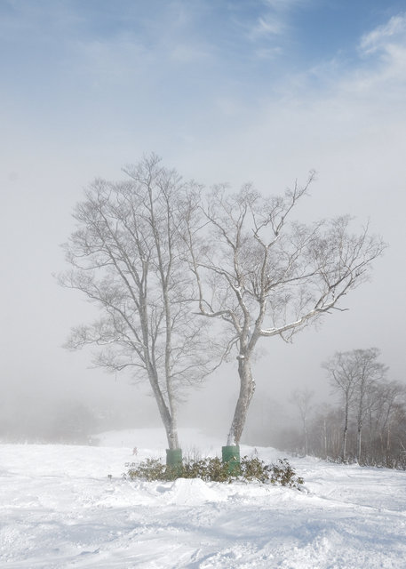 KAGURA SNOW RESORT, 2010