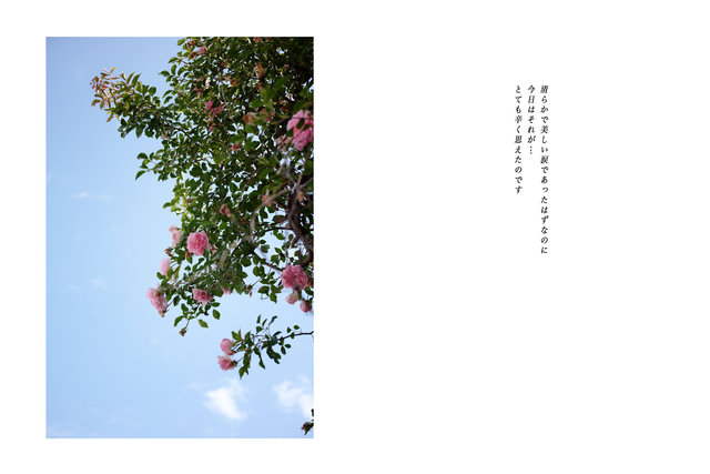 Rose, 25th May 2024