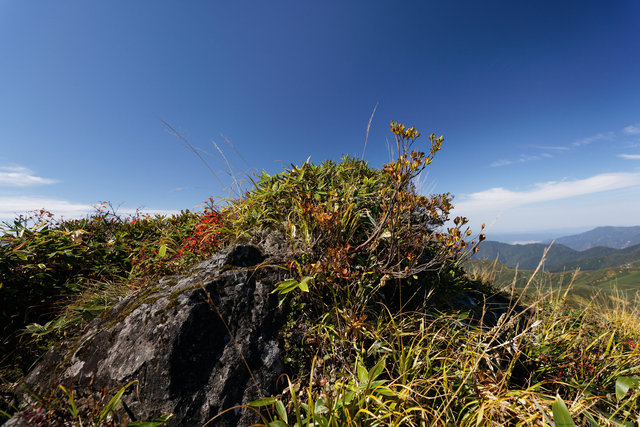 Mt Buno, October 2022