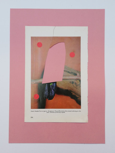 Special Edition Collage included in box n°02