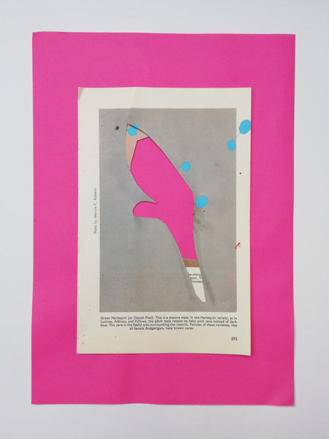 Special Edition Collage included in box n°03
