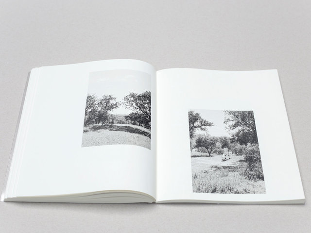Solo Show - Massao Mascaro - Jardin - Until the 21st of February