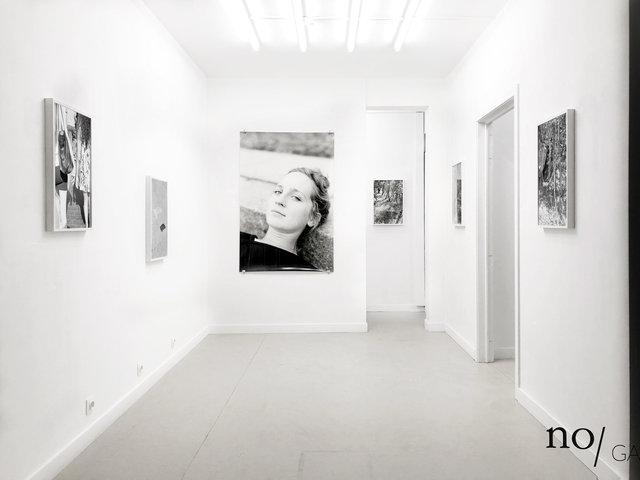 Solo Show - Massao Mascaro - Jardin - Until the 21st of February
