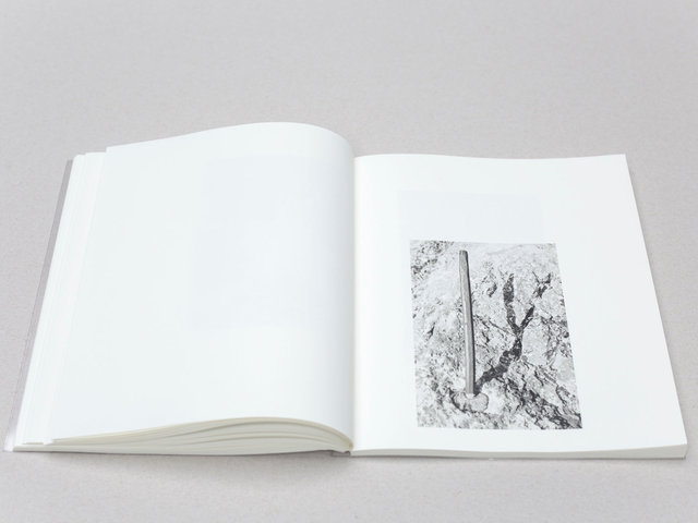 Solo Show - Massao Mascaro - Jardin - Until the 21st of February
