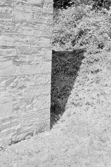 Solo Show - Massao Mascaro - Jardin - Until the 21st of February