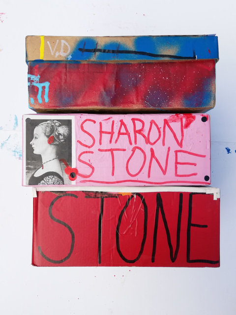 Overview of the Sharon Stone Special Editions