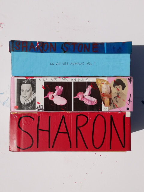 Overview of the Sharon Stone Special Editions