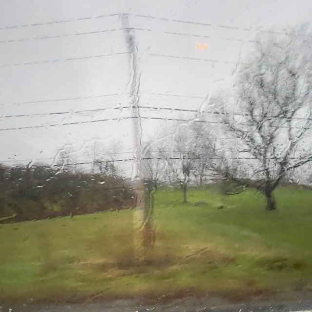 3-IMG_3641.jpeg