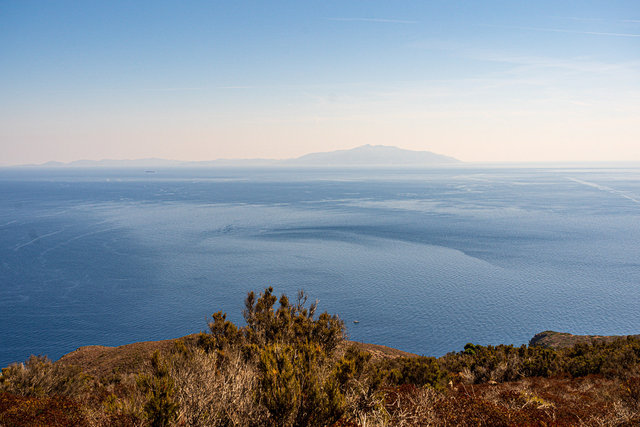 20200912_Capraia_121.jpg