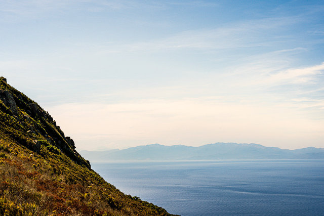 20200912_Capraia_075-Edit.jpg