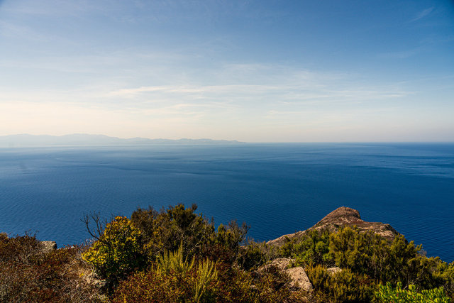 20200912_Capraia_084.jpg