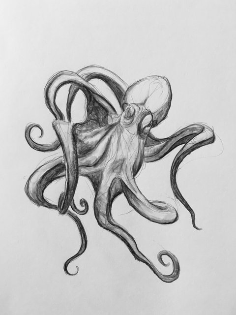 stylo_crayon_octopus_01.jpg