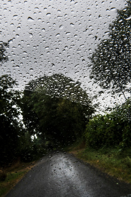 _TVG0480web.jpg