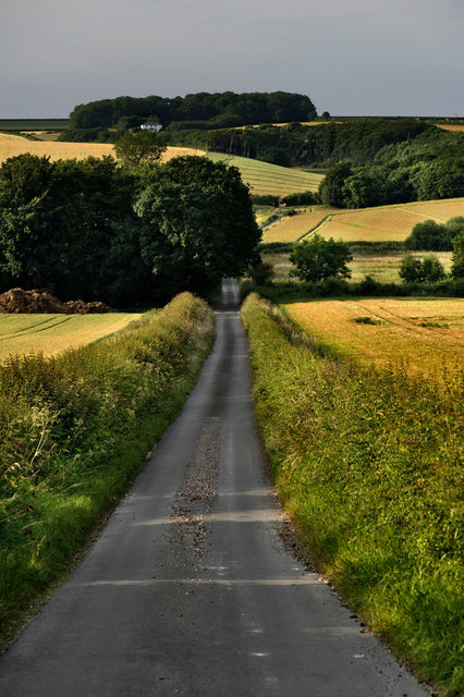 20130726_0860.jpg