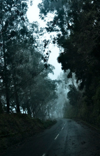 20100106_7982.jpg