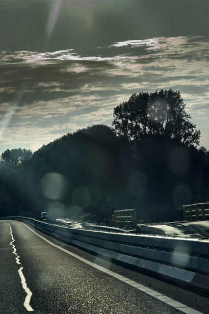 20110707_1824a.jpg