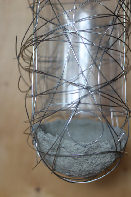 bird house "bird pill"