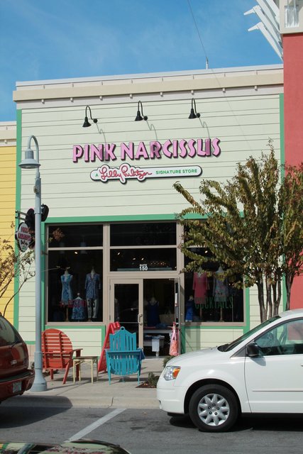 Pink Narcissus - Pier Park