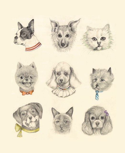 Euphuria Pet Salon 2020