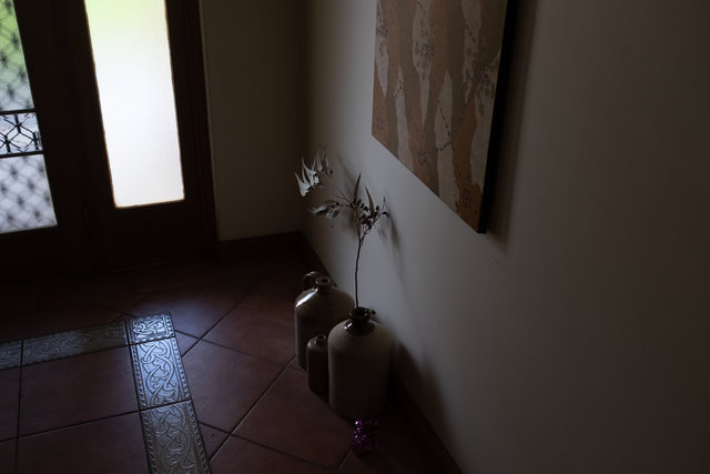 DSCF6483.jpg
