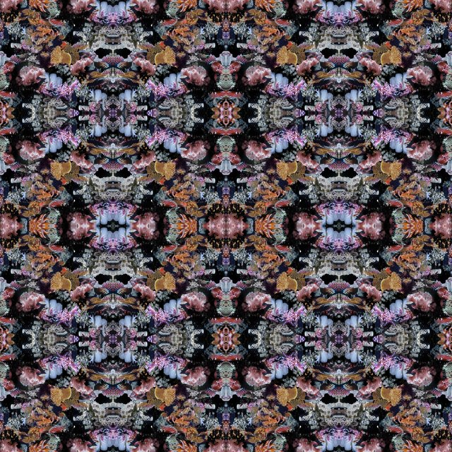  Coral Collage Fantasy Cloth 1