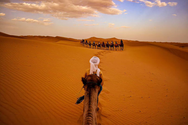 Sahara Desert, Morocco