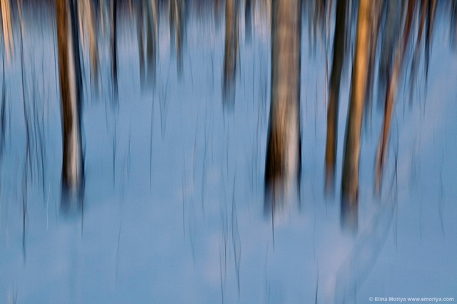 emoriya_homelandscape_web_Dancing_thoughts.jpg