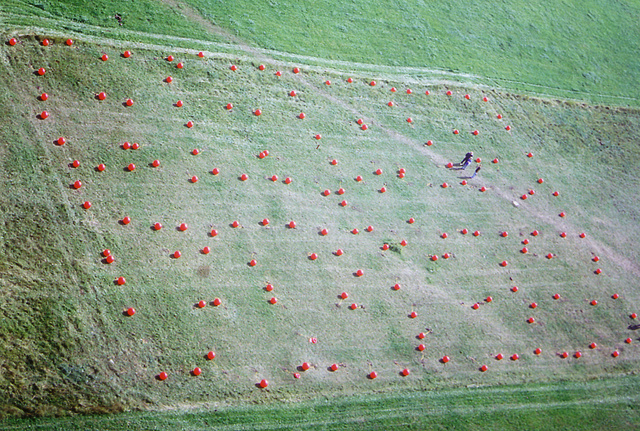 bollen van boven.jpg