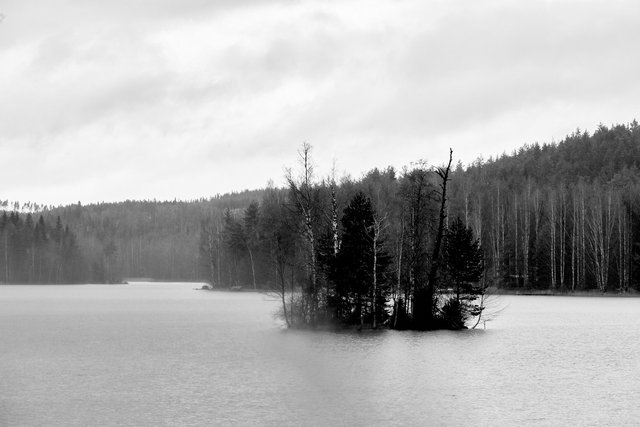 Island in Rain