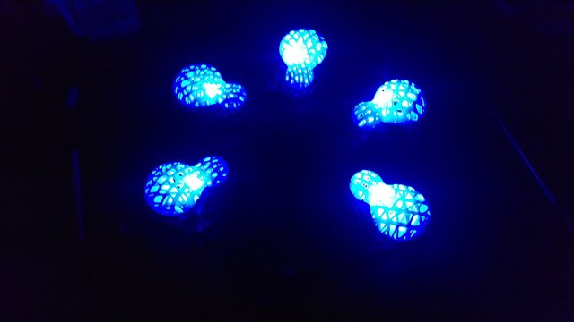 IMAG0538.jpg