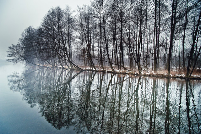 Drawa Reflection