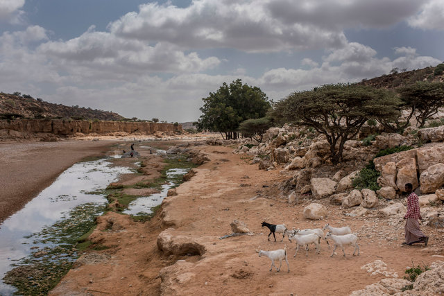 SomaliaDrought_AR01.jpg