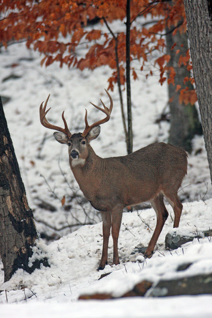 IMG_4238worked_Full-sharp.jpg