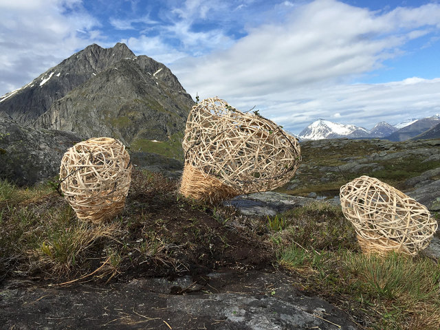 Installation woven of wood and rattan for 'Kunst i Natur* in Åndalsnes, Norway 2015