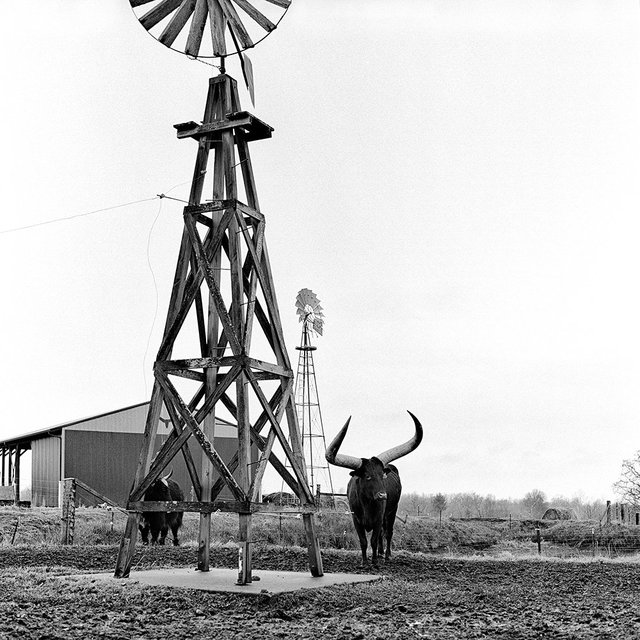 J-Heart Farm, Water Valley, KY