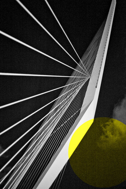 Yellow Series #3
