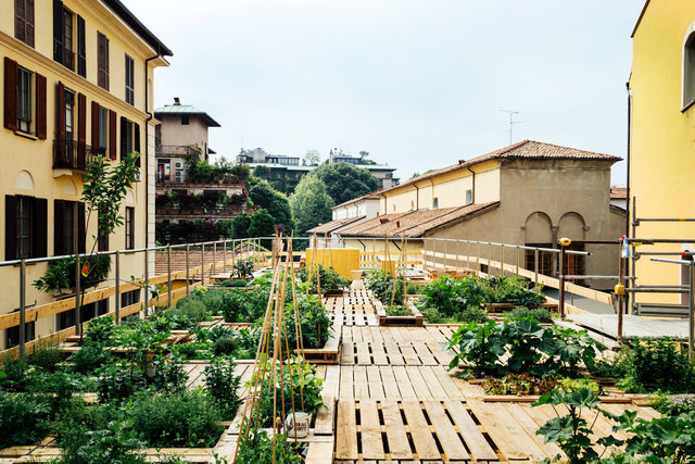 Piuarch