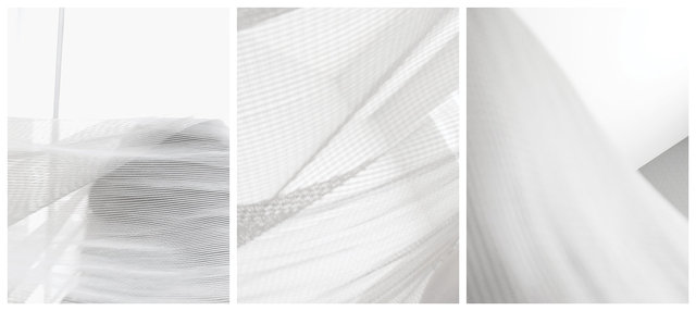 Voile, 2010