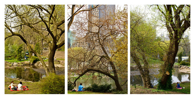      Central Park, 2010