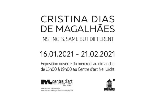 EXHIBITION / EXPOSITION @ Centre d'Art Nei Liicht 16.01.2021-21.02.2021