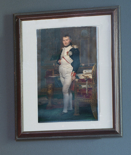 Napoleon detail