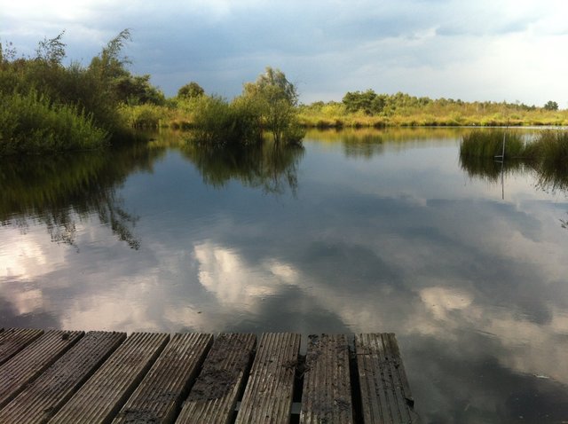 De Groote Peel, The Netherlands