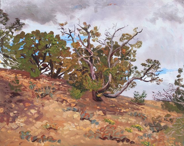 Junipers 24 x 30"